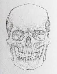 Draw two circles and draw a grid, as shown in. How To Draw A Skull Study Drawing