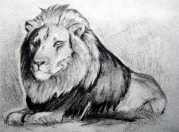 Maybe you would like to learn more about one of these? How To Draw Fur Step By Step Drawing Guide By Finalprodigy Dragoart Com