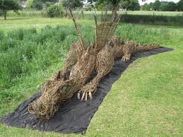 Willow Weaving Angela Morley Garden Design Dragon Garden Willow Weaving Dragon Sculpture