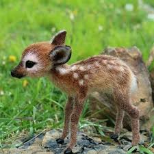 Are You Real So Cute Wildlifeonearth Cute Baby Animals Baby Animals Funny Cute Animals