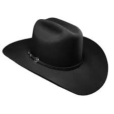 Stetson Corral 4xxxx Buffalo Fur Felt Hat Cowboy Hat Styles Western Cowboy Hats Cowboy Hats