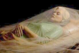 Submitted 5 years ago by bravo205valued contributor. 26 Memento Mori Photos Ideen Geschichte Post Mortem Dornroschen