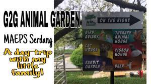 Jalan maeps 4/1, fasa 3 presint 9, 43400 serdang, selangor, malaysia. January 2020 G2g Animal Garden Visit Before The Covid 19 Wafi Vlog 003 Youtube