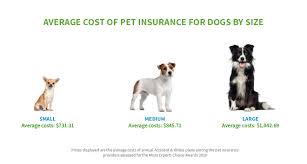 Compare pet insurance quotes from over 25 insurance brands to see if you can save up to 66% on your policy. Dogs Vs Cats The Cost Of Pet Insurance In Australia