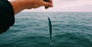 10 Merk Mata Kail Pancing Terbaik Dan Paling Efektif