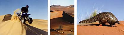 From wikipedia, the free encyclopedia. Namibia Ans Signature Journeys