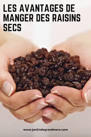 Les Avantages De Manger Des Raisins Secs Raisins Secs Fruits Secs Bienfaits Aliments Bons Pour La Sante