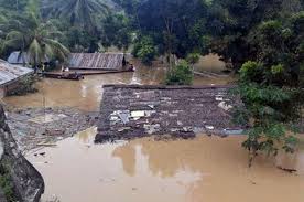 We did not find results for: Pengaruh Negatif Interaksi Manusia Dengan Lingkungan Alamnya Semua Halaman Bobo