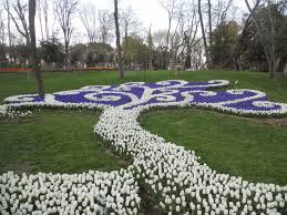Istanbul Istanbul Tulip Festival Emirgan Park Istanbul Tulip Festival Tulips