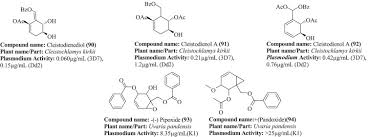 Image result for Cleistochlamys