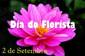Resultado de imagem para 2 DE SETEMBRO É DIA DE