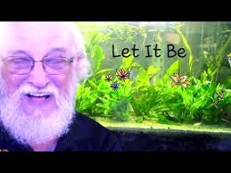 THE MUSIC OF FATHER FISH