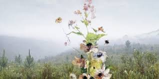 Maybe you would like to learn more about one of these? Tessa Verder Tum Tum Galerie Martin Mertens Art At Berlin