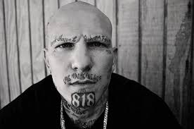 Pep Williams Photography