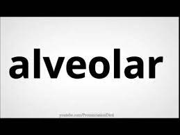 Learn how to say/pronounce alveoli in american english. How To Pronounce Alveolar Youtube