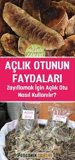 Benefits Of Hunger Grass Benefits Grass Hunger Otlar Detoks Diyeti Aclik