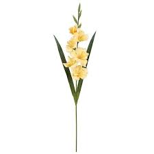 Pin On Flower Charts And References
