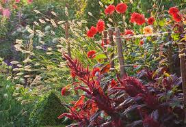 Mid-Summer - The Best Plants to Grow in ...