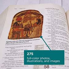 The niv cultural backgrounds study bible, with notes from dr. Niv Cultural Backgrounds Study Bible Leathersoft Tan Red Letter Bringing To Life The Ancient World Of Scripture Pricepulse