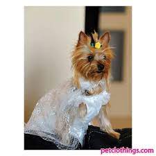 Dog Wedding Dress In White Dog Sweaters Dog Coats Dog Wedding Dress