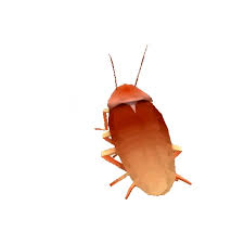 Dancing Roach Autotune Hd Remaster Extended Cut Coub The Biggest Video Meme Platform