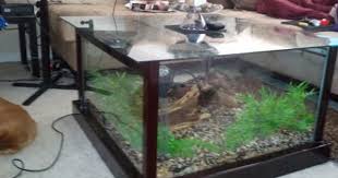 Dark and eerie fish tank. Diy Aquarium Coffee Table Aquarium Coffee Table Fish Tank Coffee Table Diy Fish Tank