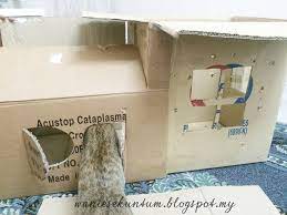 Mereka terutama digunakan di peawat terbang untuk mencatat berbagai. Waniesamani S Blog Diy Rumah Kotak Untuk Kucing