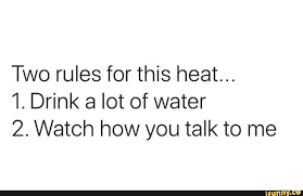 Two Rules For This Heat 1 Drink A Lot Of Water 2 Watch How You Talk To Me Talk To Me Quotes Fact Quotes Talk To Me