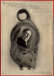 Billy Possum The Wildly Popular Stuffed Animal You Ve Never Heard Of Possum Awesome Possum Cute Animals