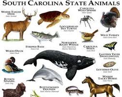 Etsy Your Place To Buy And Sell All Things Handmade Animals Extinct Animals Animals And Pets