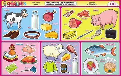 INDICADORES DE DESEMPEÑO SER Muestra interés y creatividad en las actividades que desarrolla SABER: Utiliza prácticas que fav