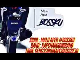 Slogan ini mengingatkan orang kepada najib, digunakan oleh pendukung dan penentangnya baik untuk memuji atau mengeji beliau yang sekarang berdepan 42 pertudu. Lagu Khas Malu Apa Bossku Bossku Najib Youtube