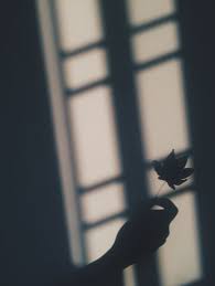 Aesthetic Black And White Instagram Profile Pictures Backspace Shadow Photography White Aesthetic Photography Profile Pictures Instagram
