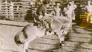 Hist&oacute;ria dos Rodeios no Brasil: Tradi&ccedil;&atilde;o e Cultura Country