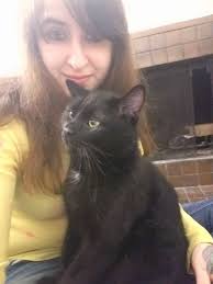 Lost black male cat in Tipaskan area of Edmonton