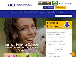 Starter Story: Learn How People Are Starting Successful Businesses