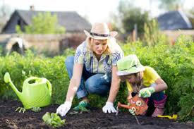Welche versicherung sie für ihren garten brauchen,. Kleingartenversicherung 2021 Ab 34 81 Eur Jahrlich