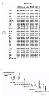 Hg 834/1991 privind stabilirea si evaluarea unor terenuri detinute de societatile comerciale cu capital de stat; Fv2 Encodes A Truncated Form Of The Stk Receptor Tyrosine Kinase Nature Genetics