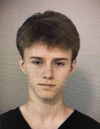 TEEN ARREST: A Clements High School student is facing felony charges for  having components of an explosive. Maximillion Young, 17, was arrested last  Wednesday. Court documents state a student told investigators that
