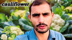 Cauliflower Farming