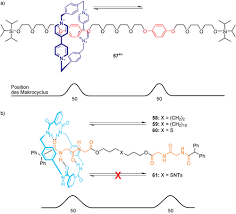 Enter the employee's middle initial. Synthetische Molekulare Motoren Und Mechanische Maschinen Kay 2007 Angewandte Chemie Wiley Online Library