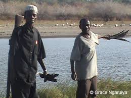 Image result for Excoecaria bussei