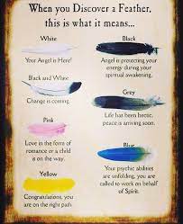 Feather Meanings Tips Things Vibes Ways Shit Brew Ofinstagram Society Doitbetter Oftheworld Feather Meaning Feather Color Meaning Black Feather Meaning