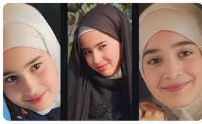 Fadel Abdallah (@FadelAAbdallah)