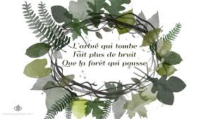 Citation La Force De La Foret Qui Pousse Te Laisse Pas Faire Citation Foret Arbre