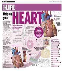 Pin By Dr Karen Zilverberg On Infographics Heart Attack Treatment Heart Failure Treatment Cholesterol