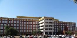 Resultado de imagen para site:cienciasdelsur.com "pastoreo racional"