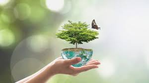 Biotic factors include influences by members of the same and other species on the development and survival of the individual. 9 Quotes That Challenge Us Do More For Our Environment Inc Com