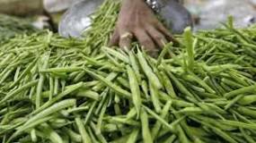 Goma guar: el alimento definitivo para saciar el hambre - LBDC