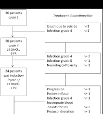 treatment flow chart cr cru complete response unconfirmed